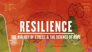 Free Online Screening of Resilience