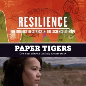 PAPER TIGERS and RESILIENCE